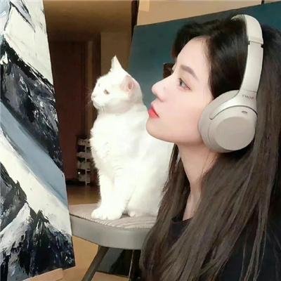 看不见手的风景